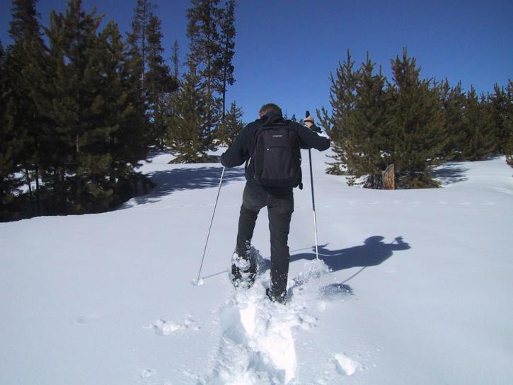 Lumikenkäily, ski, urheilu