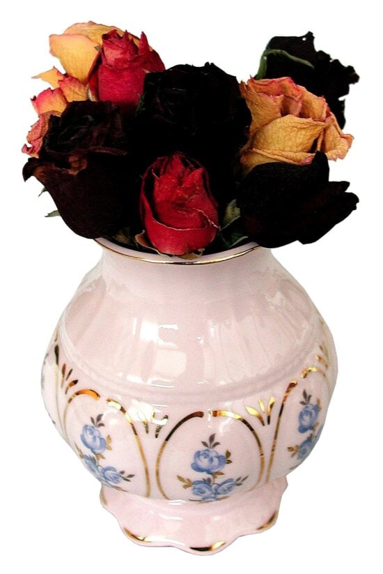flowers, vase