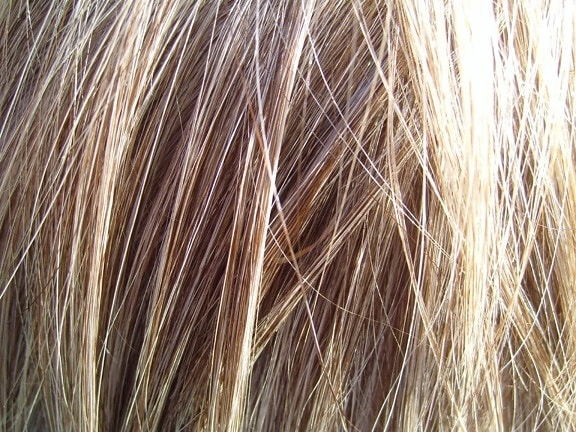 blonde, hair, details