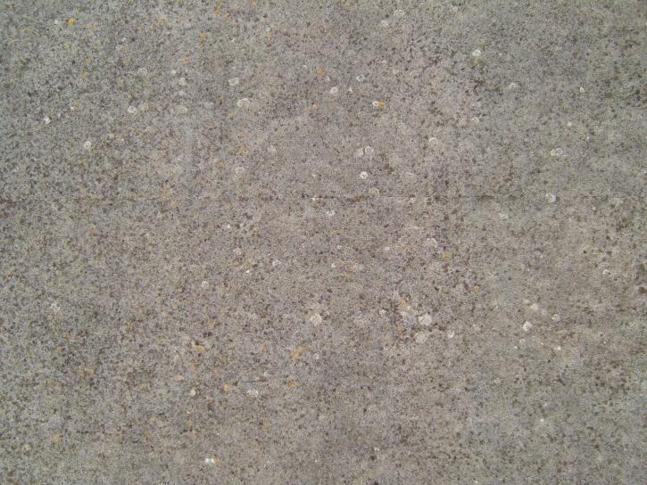 licheni, cemento