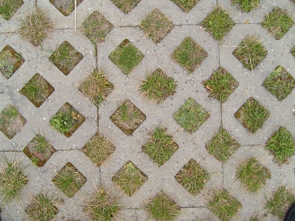grass, paver, paving