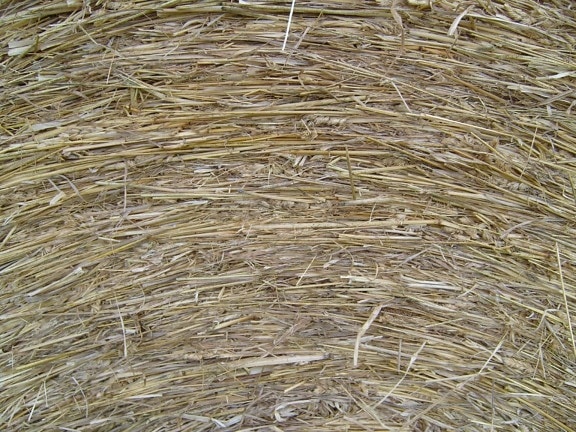 hay, roll, close