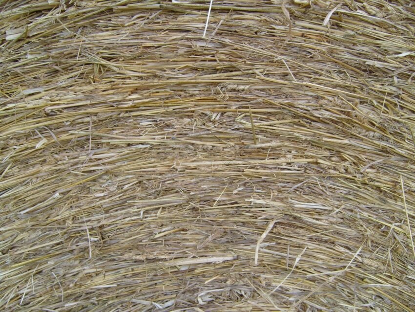 hay-roll-close-up-850x638.jpg