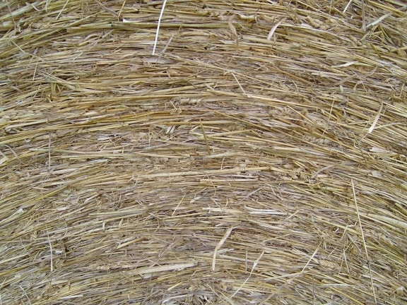 hay, roll, macro
