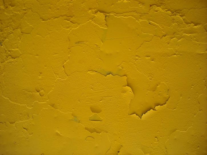 페인트, 벽