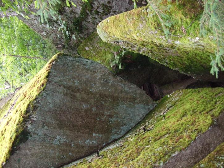 苔藓, 岩石, 质地