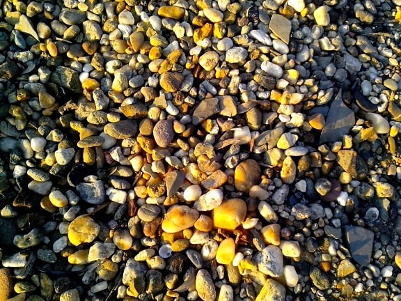 pebbles, beach, sunny day