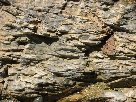 rock, texture, close