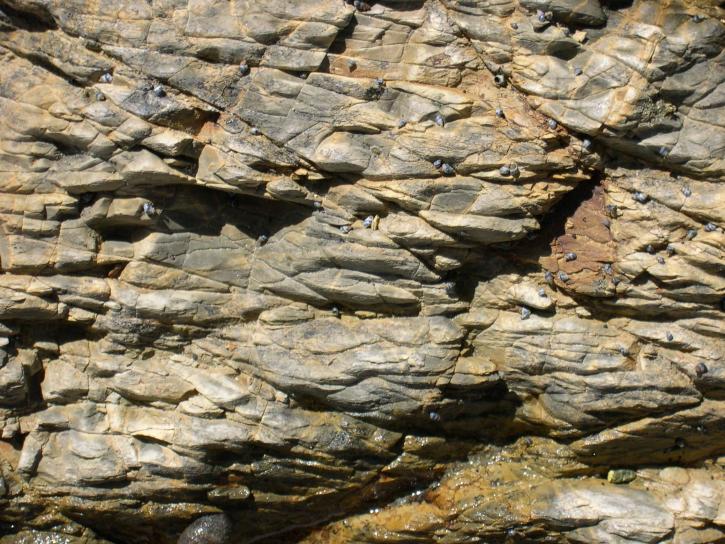 roca, textura, cerca