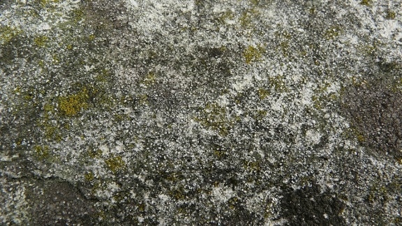 stone, high, definition, texture