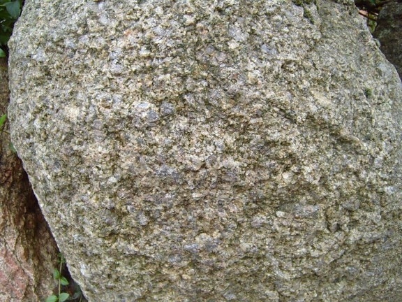 kő, szikla, textúra, közel
