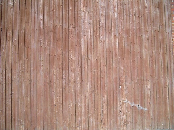 planked, legno