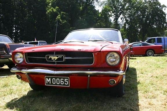 Mustang, auto, oldtimer