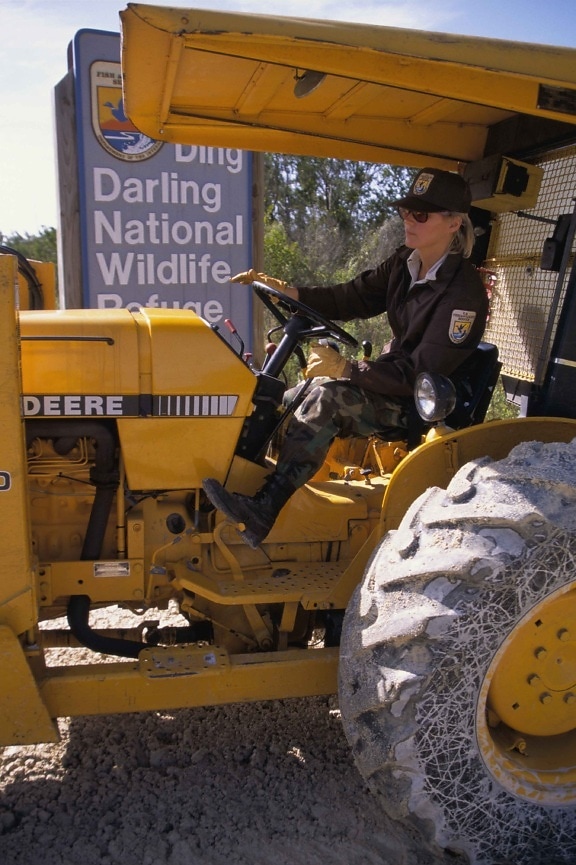 female, worker, driving, large, equipment, vehicle