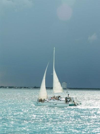 cruising, white, sailboat, sunny day