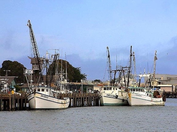 Fischerboote, Piers, Docks, Ozean