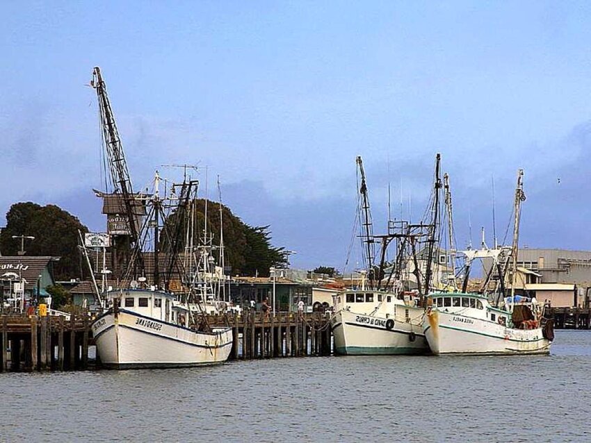 Free picture: fishing boats, piers, docks, ocean