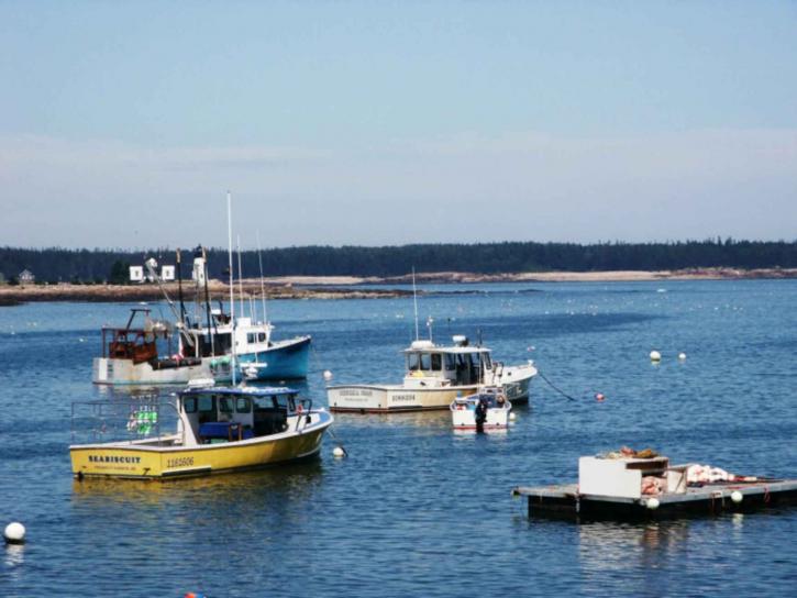 lobster, boats