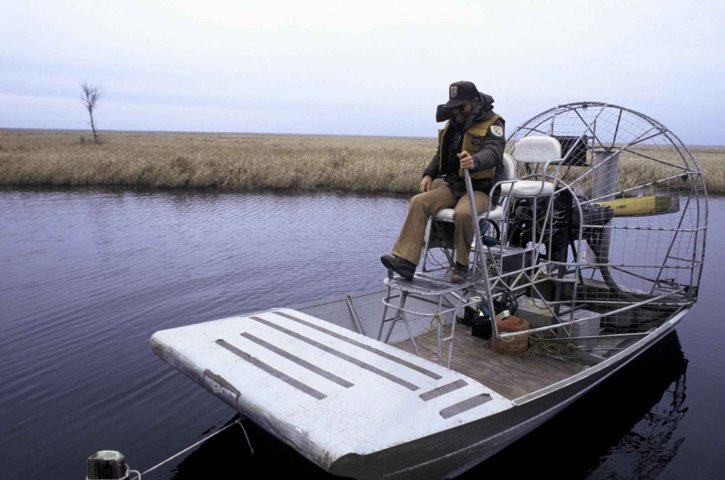 man, driving, airboat, swamp, water