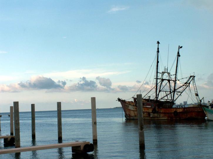 παλιό, σκουριασμένο, αλιευτικό σκάφος, αγκυροβολημένο, λιμάνι