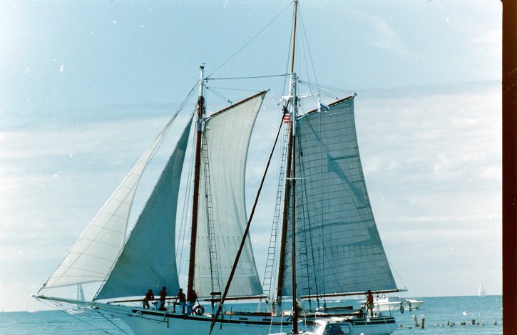 segelbåt, sjön, Michigan, gammal, Foto
