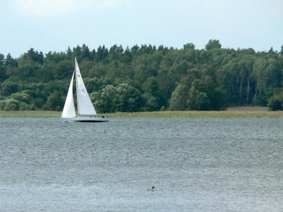 sailingboat, angin
