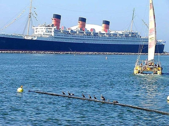 skipet, båt, queen Mary, ocean liner