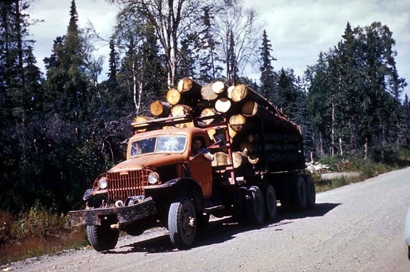 l'exploitation forestière, camion, charge, scie, journaux, route, forêt, bois