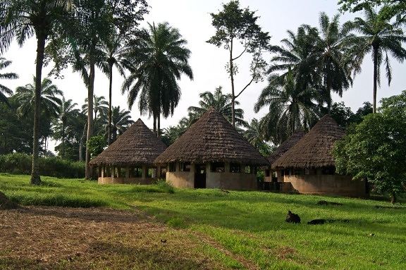 salle de classe, Lusakela, agriculture, station, République démocratique du Congo, Afrique