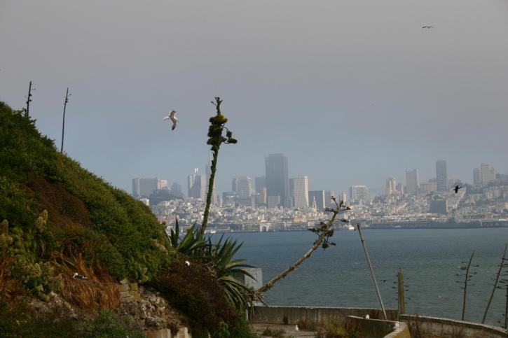 San Francisco, Alcatraz