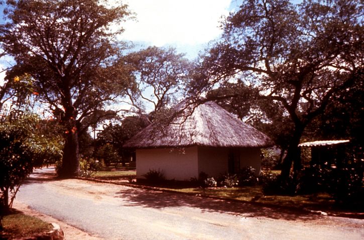 bordo della strada, locali, Rhodesian, dello Zimbabwe, l'aeroporto