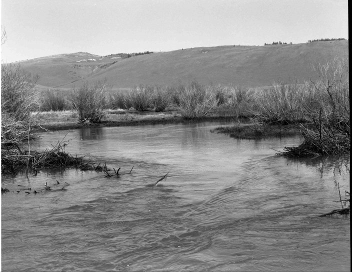 Beaver dam, vintage, Фото