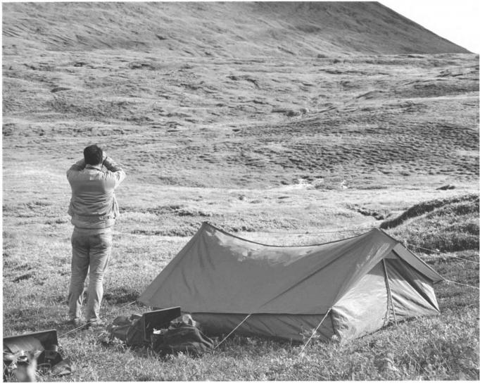 in bianco e nero, immagine, camper, tenda