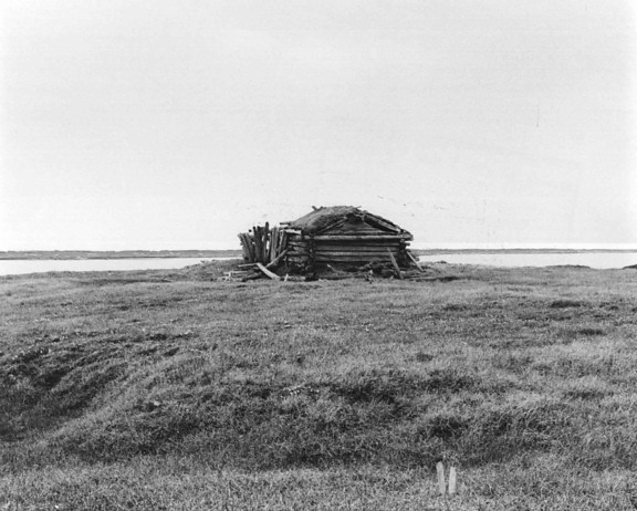 black and white, image, log, cabin, open, tundra, area