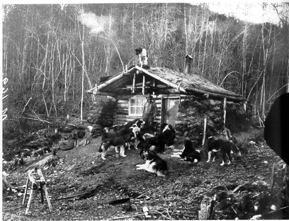 black and white, image, man, front, log, cabin, surrounded, dogs