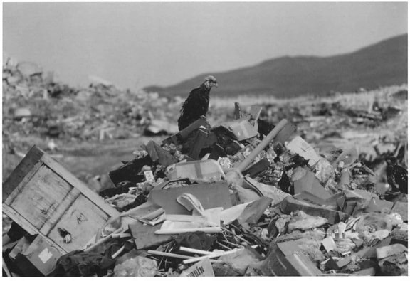 black and white, old, photo, bald, eagle, adak, island, dump