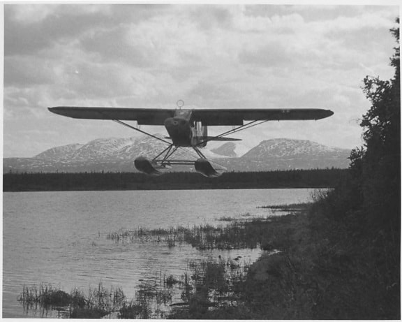 cub, floatplane, air, vintage, photo