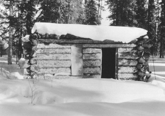 grayscale, picture, log, cabin, snow, covered, snow