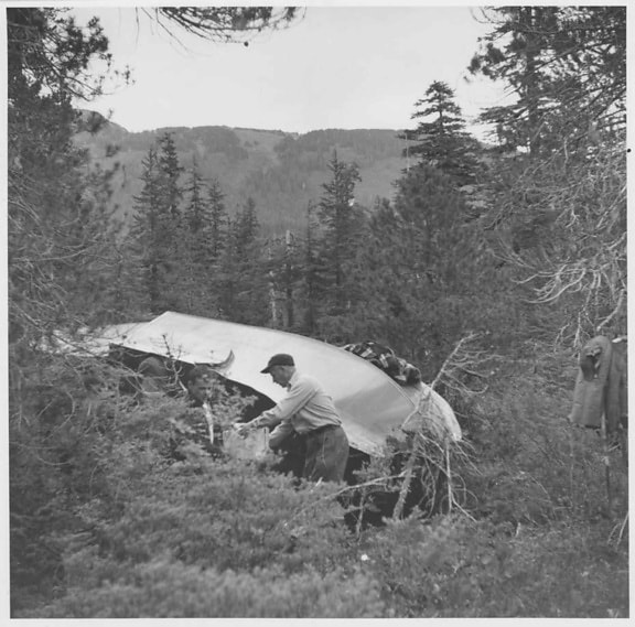 history, photo, people, forest, plane, wreakage