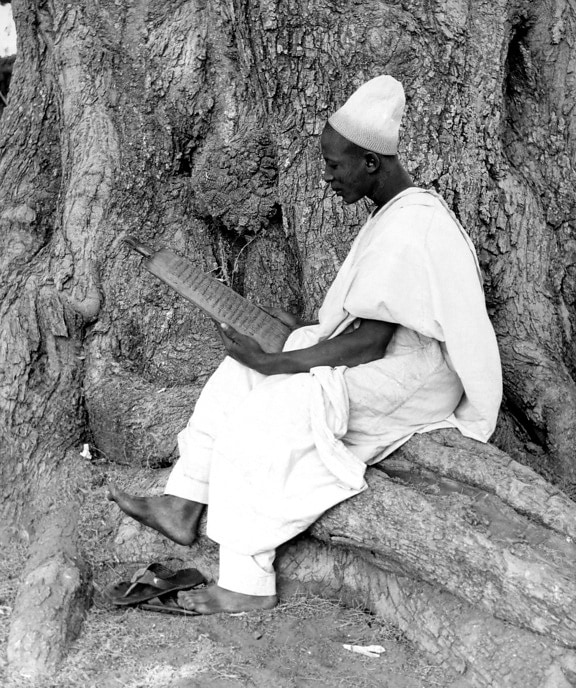 seduto, Nigerien, uomo, fotografia, lettura, legno, scrittura, tavoletta