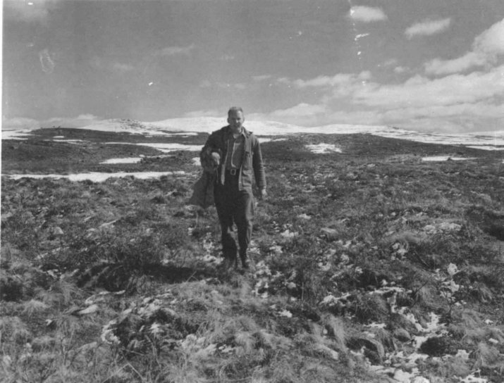 man, carrying, caribou, calf, gunny, sack, tundra