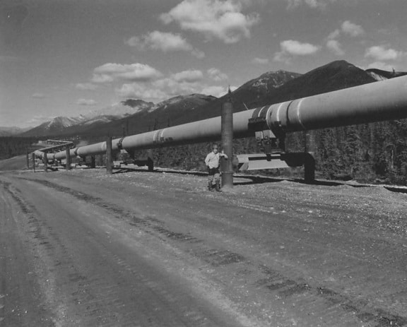 Mann, stehend, trans, Alaska, Pipeline