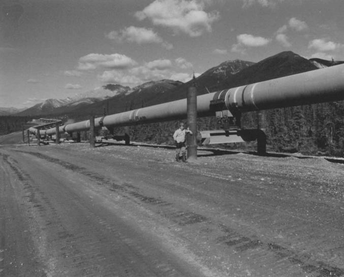 man, stående, trans, Alaska pipeline