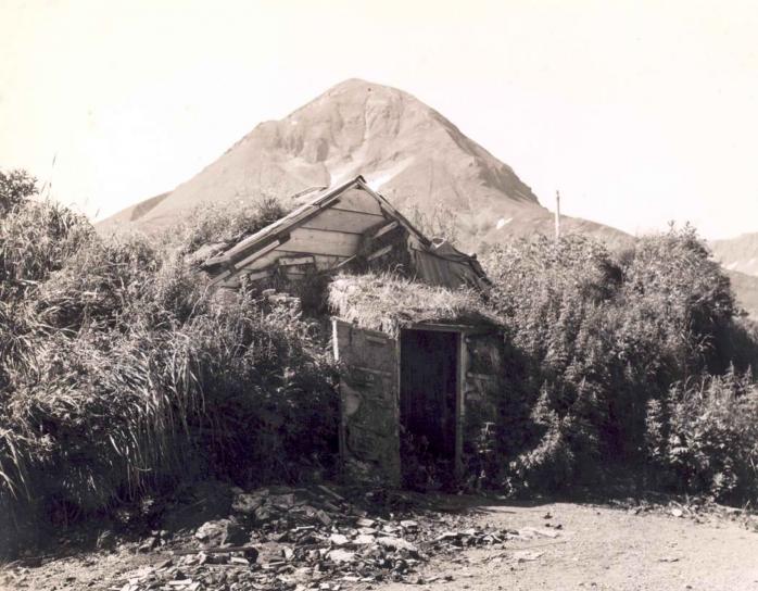 old, abandoned, shack, houses