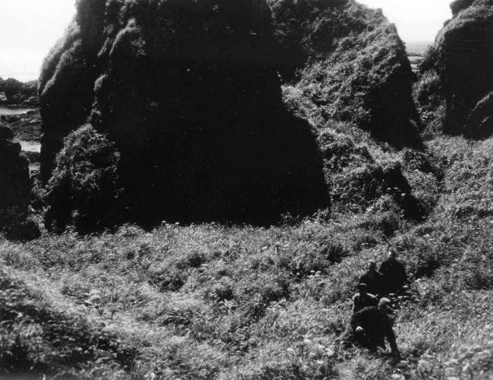 servicemen, hiking, brush, Attu, island
