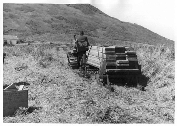tractor, hauling, weir, lumber, old, vintage, history, photo