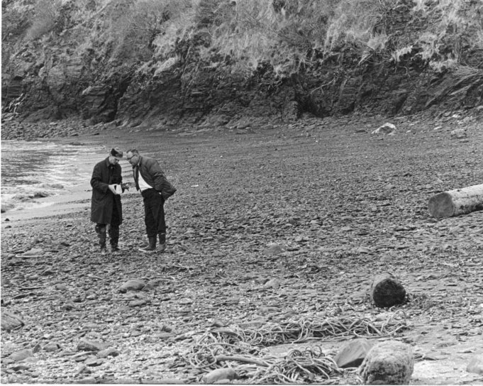 kaksi miestä beach, vintage, kuva