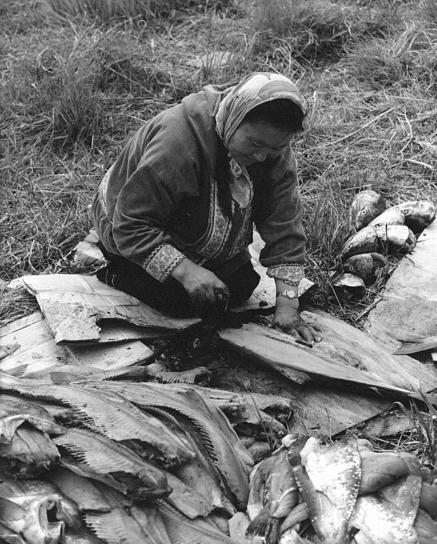 eine Frau, Filetieren, Fisch, Jahrgang, Foto