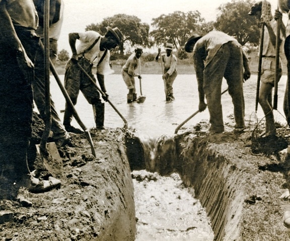 workers, practicing, vector, control, digging, drainage, ditch, help, disperse, standing, water