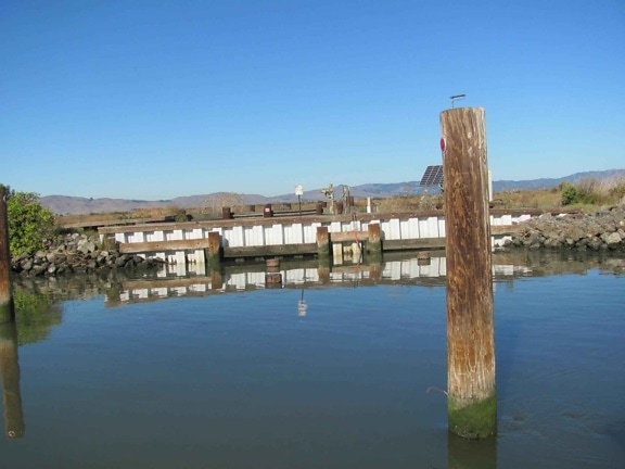 slough, piling, foreground
